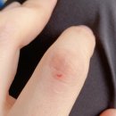 우리동네 상하안경 | 배달의민족 B마트 알바 후기