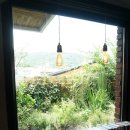 리케이온 이미지