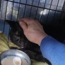 까치세탁 이미지