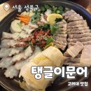 탱글이 문어 | 탱글이문어 : 안암맛집 N차방문 내돈내산 후기