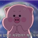대호피부