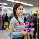 미국 전자비자 ESTA 발급 대행,여행 출발 전 필수 준비,하와이,뉴욕,LA,NY
