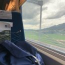 별꽃민박 | 순천 가볼만한곳 낙안읍성 민속마을 ktx 내일로로 저렴하게 간 후기