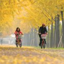 한글비석길 이미지