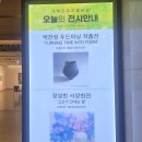 대백베이커리 네이버블로그