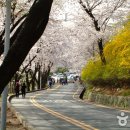 남산공원(서울) 이미지