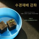 송중동자치회관 강의실 | 송중동 자치회관 문화강좌(수경재배)(2020년)