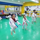 최강 을지 태권도 이미지