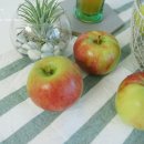 와룡농원 이미지