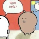 하비스튜디오