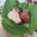 족발사관학교 이미지