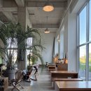 코게러지 호텔 | 양양 코게러지 숙박 후기 I 애견동반 카페와 인피니티풀이 있는 빈티지 무드의 숙소