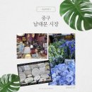 박약국 | 남대문시장 반나절코스 - 주차장 운영시간 이용팁 중앙갈치골목 현대기물 왕솔약국 꽃시장 유월커피회현점