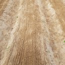 고랑정미소 이미지