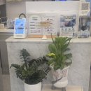 이철헤어커커(배곧신도시점) | 이철헤어커커 배곧신도시점에서 경험한 배곧미용실 서비스 완벽 가이드
