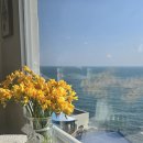 청학2동-10 | 영도/흰여울길 오션뷰 카페 | 흰여울비치 + 요즘 읽는 책 양귀자 &#39;모순&#39; (솔직 후기, 주차, 가격)