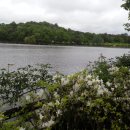 장원초교 이미지