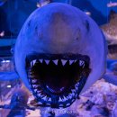 땅끝해양자연사박물관 이미지