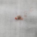 강동중앙내과외과의원 이미지