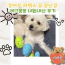 봉봉미용실 | 강아지 라텍스 장난감 공 봉봉에그 내돈내산 추천 후기