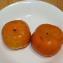 삼화농장 이미지