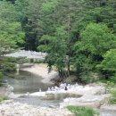 스테이 다연 이미지