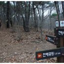 원동천 티스토리