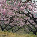 복상골낚시터 이미지