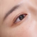 미미안브로우 | 석관동 돌곶이 속눈썹펌 미미안 브로우 L컬 시술 후기