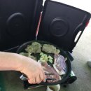 윤우목장 이미지