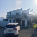 모니카애견 이미지