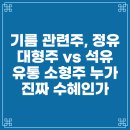 에스케이글로벌(주)파워디젤점 | 기름 관련주, 정유 대형주 vs 석유 유통 소형주 누가 진짜 수혜인가 (2026)