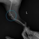 아랑동물병원 이미지