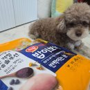 밥이보약 이미지