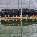 봉곡낚시터 이미지