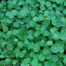 봉수산숲펜션 이미지