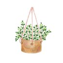 정심한의원 이미지