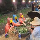 하가막농촌체험휴양마을 이미지