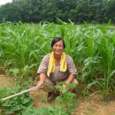 이원규농장 이미지