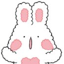 유얼 타입