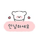 박도연 헤어