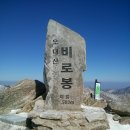 채은병 이미지