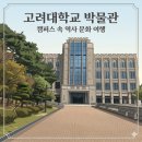 백년사 | 고려대학교 박물관 방문 후기, 캠퍼스 속 역사 문화 여행