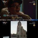 명동사진이야기 스타뉴스