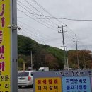 이집이 좋겠네 이미지