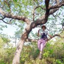 수선농장 이미지