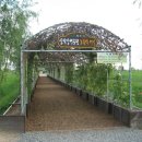 삼락강변공원 이미지