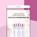 누메로코퍼레이션
