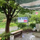 덕구로 | 울진 여행 [덕구솔밭옹심이칼국수] 내돈내산 후기