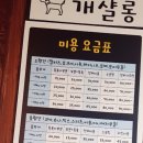 킹콩하우스 애견카페 이미지